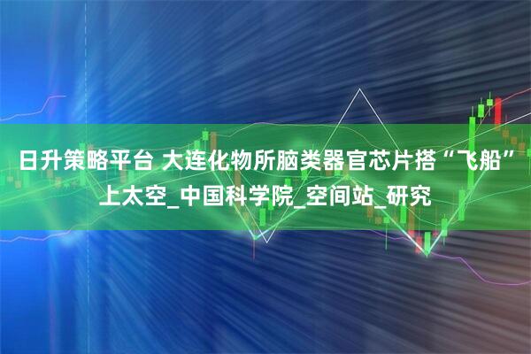 日升策略平台 大连化物所脑类器官芯片搭“飞船”上太空_中国科学院_空间站_研究
