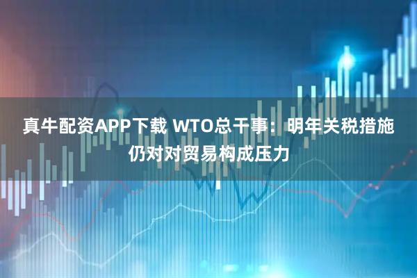 真牛配资APP下载 WTO总干事：明年关税措施仍对对贸易构成压力
