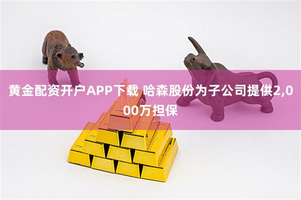 黄金配资开户APP下载 哈森股份为子公司提供2,000万担保