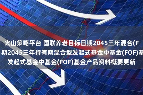 火山策略平台 国联养老目标日期2045三年混合(FOF): 国联养老目标日期2045三年持有期混合型发起式基金中基金(FOF)基金产品资料概要更新